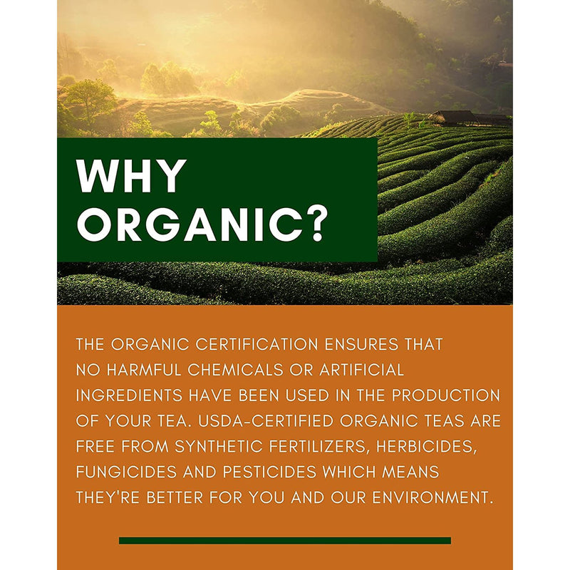 Gardenika Shop Turmeric Ginger Chai Tea, Anti-Inflammatory - Ayurvedic - Organic Loose Leaf Tea Chocolate