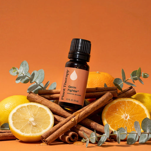 Plant Therapy Germ Fighter Essential Oil Blend Essential Oil Chocolate 10 mL,30 mL,100 mL