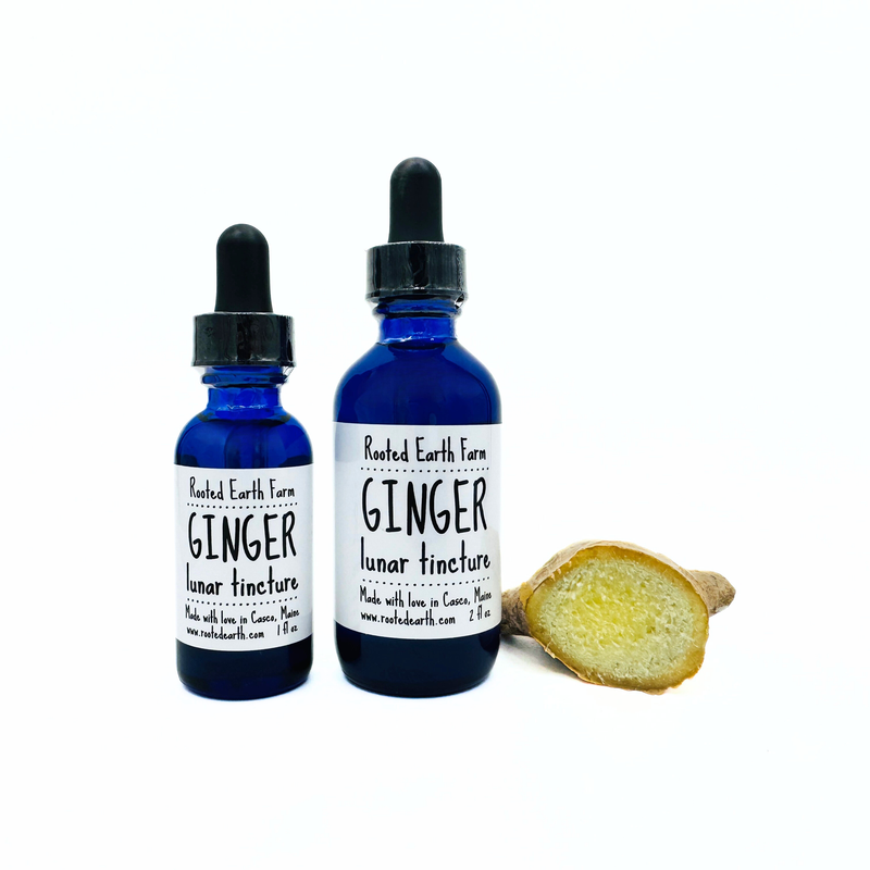Rooted Earth Farm + Apothecary Ginger Tincture Tinctures + Capsules White Smoke 1 oz,2 oz