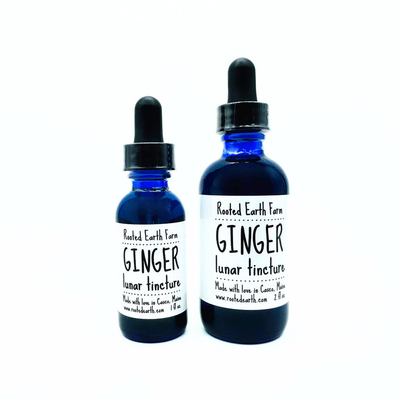 Rooted Earth Farm + Apothecary Ginger Tincture Tinctures + Capsules White Smoke 1 oz,2 oz