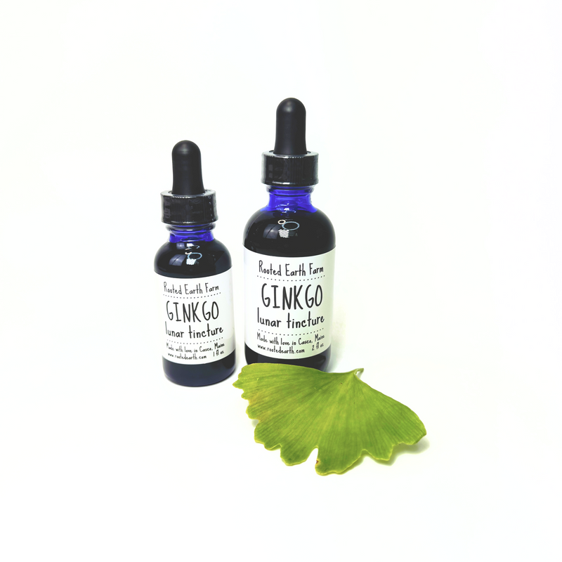 Rooted Earth Farm + Apothecary Ginkgo Tincture Tinctures + Capsules White Smoke 1 oz,2 oz