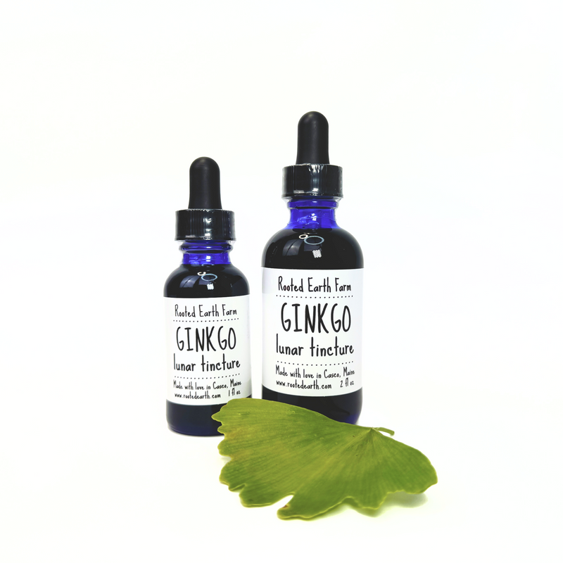 Rooted Earth Farm + Apothecary Ginkgo Tincture Tinctures + Capsules White Smoke 1 oz,2 oz