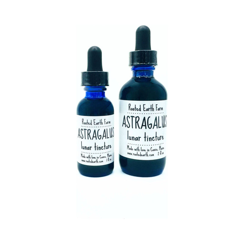 Rooted Earth Farm + Apothecary Astragalus Root Tincture Tinctures + Capsules Dark Slate Gray 1 oz,2 oz