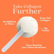 Further Food Hazelnut Collagen Peptides Powder Collagen Coral 1 Pack,2 Pack,3 Pack