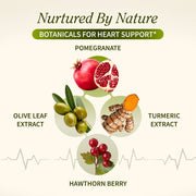 Snap Supplements Heart Health & Cholesterol Health Bundle Seashell