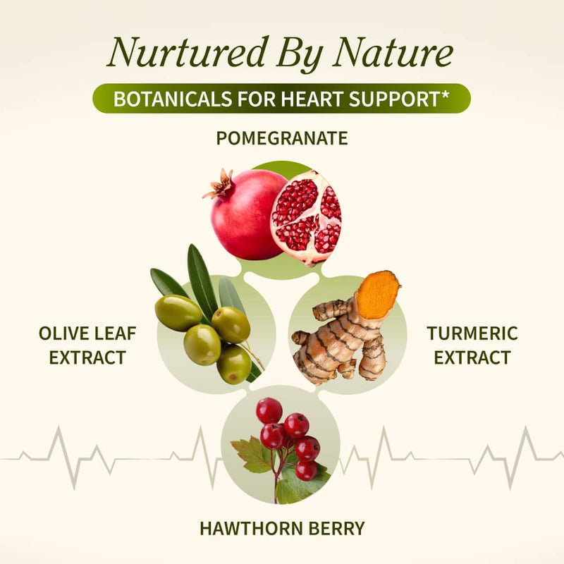 Snap Supplements Heart Health & Cholesterol Health Bundle Seashell