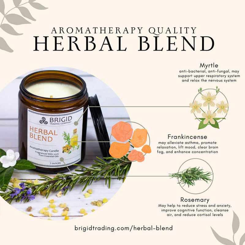 Brigid Trading Company Herbal Blend Soy Wax Candle - Frankincense, Rosemary, and Myrtle Aromatherapy Candle Seashell 7oz amber jar,3oz pewter tin