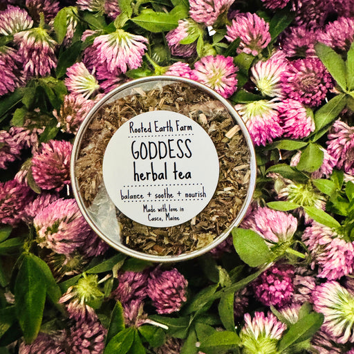 Rooted Earth Farm + Apothecary Goddess Herbal Tea Tin Herbal Teas Black