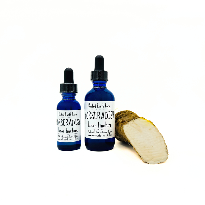 Rooted Earth Farm + Apothecary Horseradish Tincture Tinctures + Capsules White Smoke 1 oz,2 oz