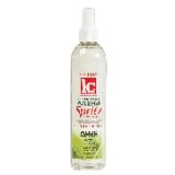 VIP Extensions Fantasia IC Hair Polisher Spritz Super Hold Styling Spray White Smoke