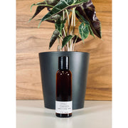 handmade. la conner Hand & Body Wash - Woodsy - 2 Ounces Ladies Tan 2 Ounces - Spruce + Cinnamon