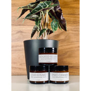 handmade. la conner Daily Moisturizing Lotion - Woodsy Gentlemen Tan 2 Ounces - Cedar + Bergamot,2 Ounces - Sandalwood + Rosemary,2 Ounces - Spruce + Cinnamon
