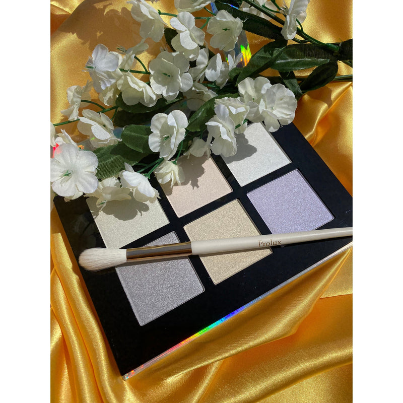 Prolux Cosmetics Holographic Highlight Palette Highlighter Palette Sienna