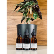 handmade. la conner Pure Essential Oils - Woodsy Tan Cedar + Bergamot,Sandalwood + Rosemary,Spruce + Cinnamon