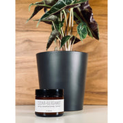 handmade. la conner Daily Moisturizing Lotion - Woodsy Gentlemen Rosy Brown 2 Ounces - Cedar + Bergamot