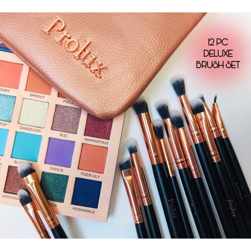 Deluxe 12 Piece Eye Makeup Brush Set
