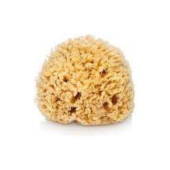 The Sponge Company The Sponge Company Sea Silk Bathing Sponge #1 BABY Bathing Sponge Tan