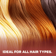 TheSalonGuy Ion Infused Ceramic Round Brush 2.5" TheSalonGuy Haircare Saddle Brown