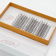 Mega Lash Academy Jewel 5D Spikes Lash Trays Light Gray 0.07 / Dazzle / 12-13-14 mm,0.07 / Dazzle / 14-15-16 mm,0.07 / Dazzle / 16-17-18 mm,0.07 / Glamour / 12-13-14 mm,0.07 / Glamour / 14-15-16 mm,0.07 / Glamour / 16-17-18 mm