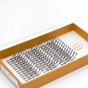 Mega Lash Academy Jewel 5D Spikes Lash Trays Beige 0.07 / Dazzle / 12-13-14 mm,0.07 / Dazzle / 14-15-16 mm,0.07 / Dazzle / 16-17-18 mm,0.07 / Glamour / 12-13-14 mm,0.07 / Glamour / 14-15-16 mm,0.07 / Glamour / 16-17-18 mm