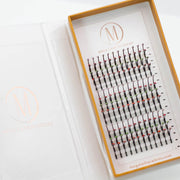 Mega Lash Academy Jewel 5D Spikes Lash Trays Light Gray 0.07 / Dazzle / 12-13-14 mm,0.07 / Dazzle / 14-15-16 mm,0.07 / Dazzle / 16-17-18 mm,0.07 / Glamour / 12-13-14 mm,0.07 / Glamour / 14-15-16 mm,0.07 / Glamour / 16-17-18 mm