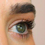 Chella lash curl kit Kit Tan