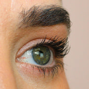 Chella deluxe lash curl kit Kit Tan