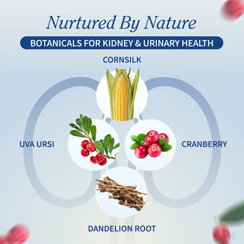 Snap Supplements Kidney Health - Buy 2, Get 1 FREE! hidden Light Gray