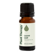 Plant Therapy Laurel Leaf Essential Oil Essential Oil Antique White 10 mL