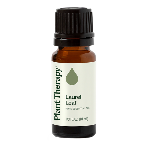 Plant Therapy Laurel Leaf Essential Oil Essential Oil Antique White 10 mL