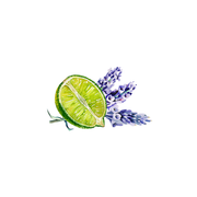 Rustic Strength Lavender & Lime Essential Oil Blend Scenting Oil White Smoke