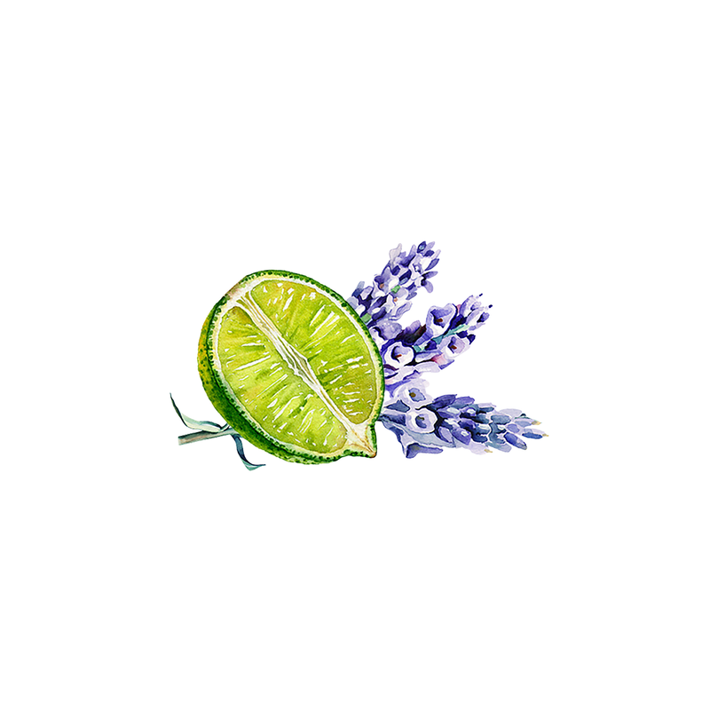 Rustic Strength Lavender & Lime Essential Oil Blend Scenting Oil White Smoke