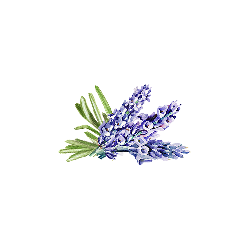 Rustic Strength Lavender & Rosemary Essential Oil Blend Scenting Oil White Smoke