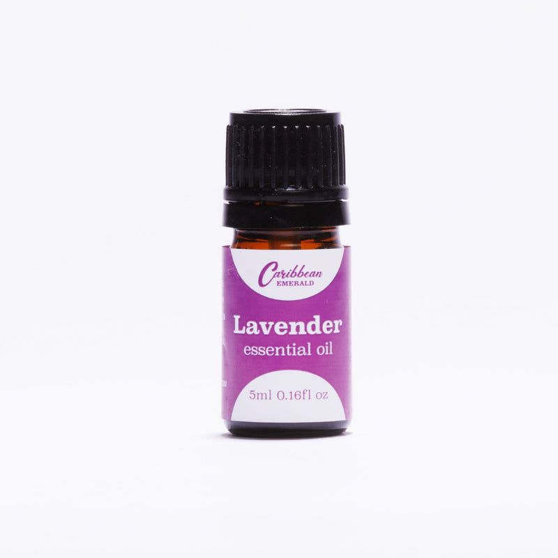 Caribbean Emerald Lavender Essential Oil Essential Oil Black 5ml