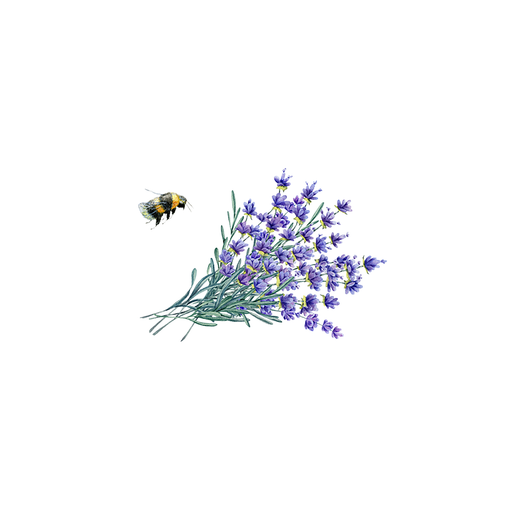 Rustic Strength Lavender Essential Oil Scenting Oil White Smoke
