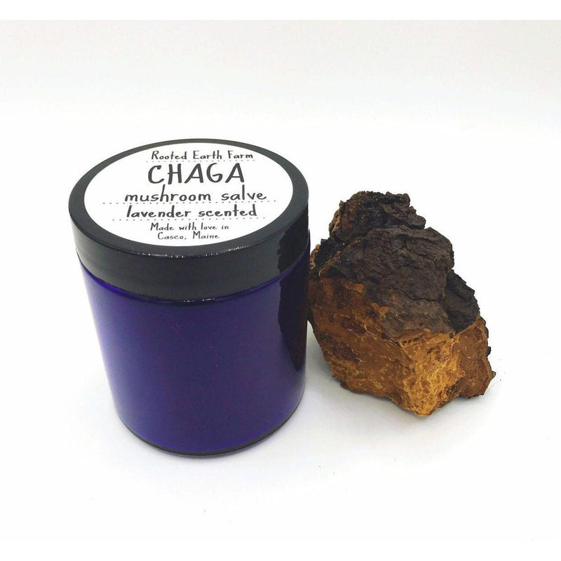 Rooted Earth Farm + Apothecary Chaga Salve Herbal Salves + Balms Dark Slate Gray Unscented,Lavender
