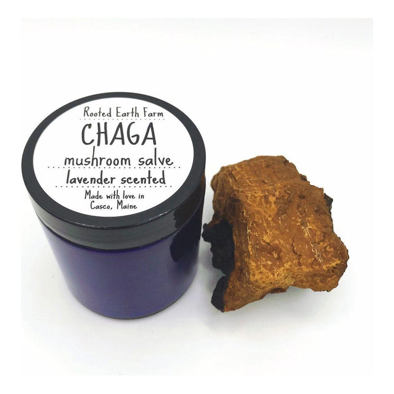 Rooted Earth Farm + Apothecary Chaga Salve Herbal Salves + Balms Dark Slate Gray Unscented,Lavender