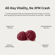 Snap Supplements L-Carnitine Sugar-Free Blueberry Gummies Lavender