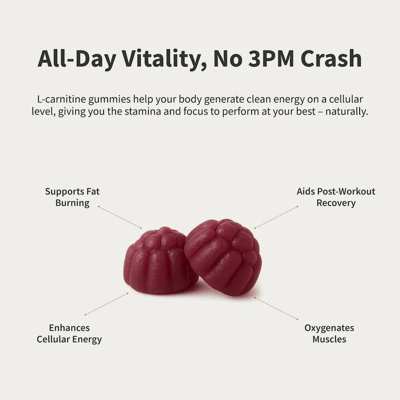 Snap Supplements L-Carnitine Sugar-Free Blueberry Gummies Lavender