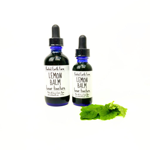 Rooted Earth Farm + Apothecary Lemon Balm Tincture Tinctures + Capsules White Smoke 1 oz,2 oz