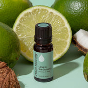Plant Therapy Lime in the Coconut Essential Oil Blend Essential Oil Gray 10 mL,30 mL