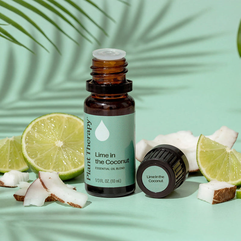 Plant Therapy Lime in the Coconut Essential Oil Blend Essential Oil Gray 10 mL,30 mL