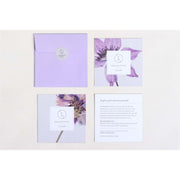 Lizush Set of 5 Heart Shaped Shower Steamers Package  - in a Gift Box - Can be personalized Unisex gift set Lavender No,Yes