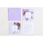 Lizush Mixed scents Shower Steamers Gift Set - 5 Big Fizzies, Cheer Up Package Unisex gift set Lavender No,Yes