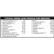 casa de sante Elemental Whey WPI Protein Powder + Digestive Enzymes (Chocolate) | Low FODMAP & GLP-1 Gut-Gentle Muscle Support Digestive Support Supplements White Smoke
