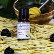 Brigid Trading Company Diffuser Oil Blends - Essential and Premium Fragrance Blends diffuser oil Black Campfire (Premium Fragrance Oil),Candy Cane (Premium Fragrance Oil),The Florist (Essential Oil Blend),Forest Blend (Essential Oil Blend),Grandma's Cookies (Essential Oil Blend),Herbal Blend (Essential Oil Blend),Lavender (Premium Fragrance Oil),Lavender C