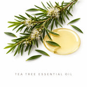 Lulu’s Holistics Tea Tree & Lavender Deodorant – Natural Odor Protection Deodorant White Smoke 1 (2.65oz tube),2 (2.65oz tubes),3 (2.65oz tubes),4 (2.65oz tubes)
