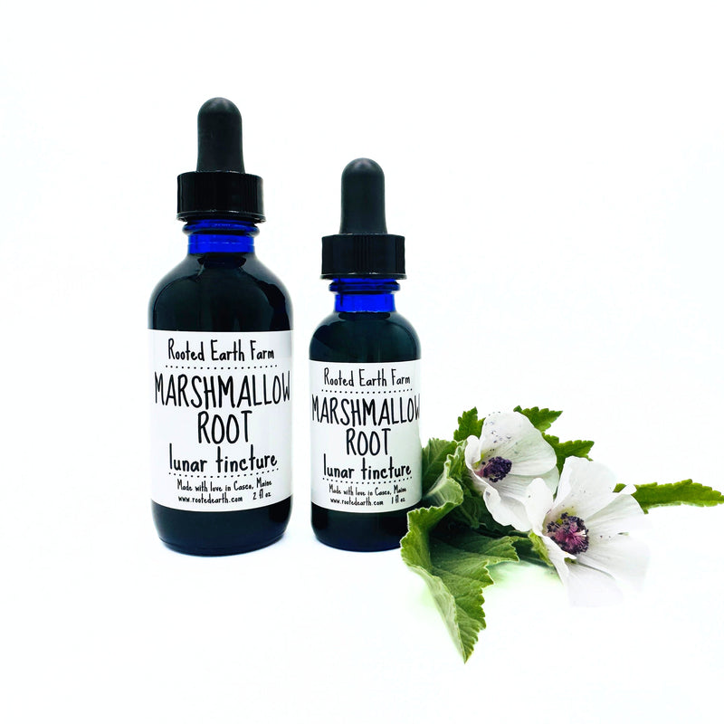 Rooted Earth Farm + Apothecary Marshmallow Root Tincture Tinctures + Capsules White Smoke 1 oz,2 oz