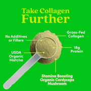 Further Food Matcha Collagen Peptides Powder Collagen Lime Green 1 Pack,2 Pack,3 Pack