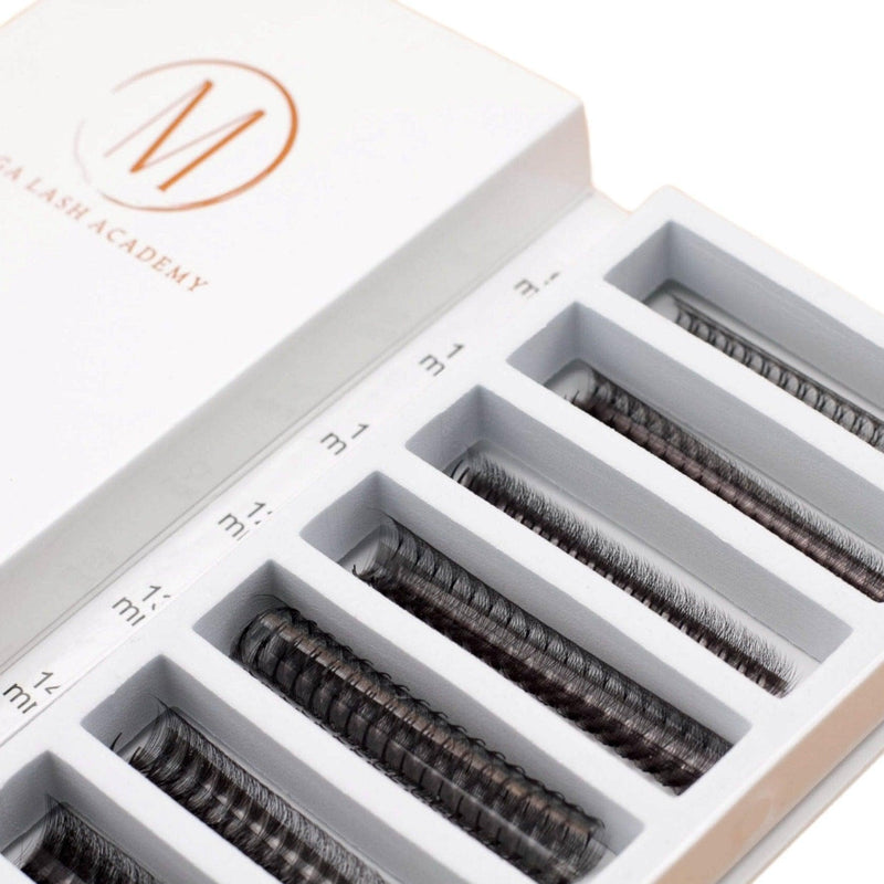 Mega Lash Academy Narrow 10D Rapid Promade Fans® - 1050 Fans Promade Fans Lavender 0.03 / C / Mixed 9-15 mm,0.03 / CC / Mixed 9-15 mm,0.03 / D / Mixed 9-15 mm